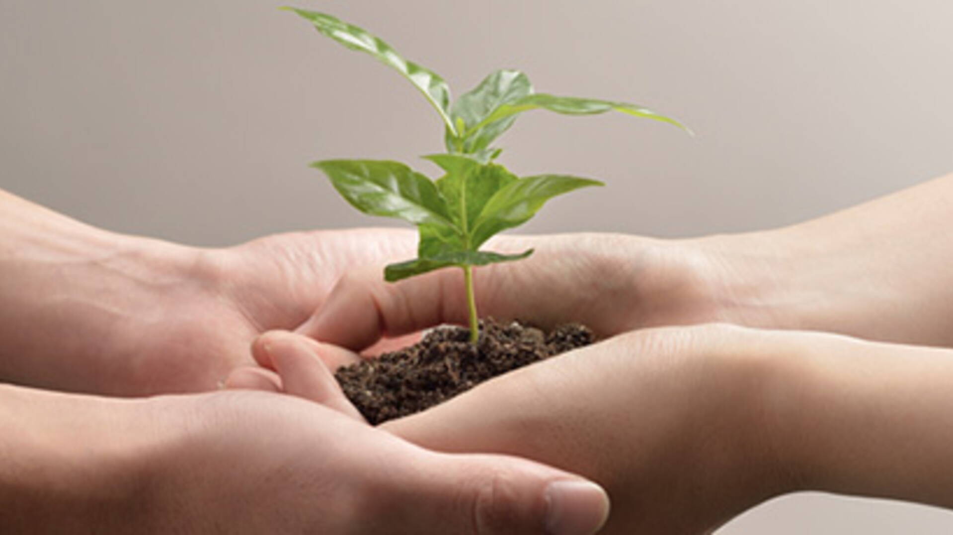 Et si on passait en mode coopératif ? Harvard Business Review France