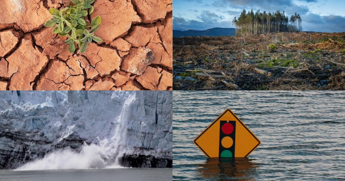 Un dérèglement climatique "sans précédent" : ce que dit le dernier rapport du Giec