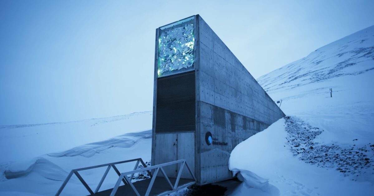 Svalbard : la plus grande réserve mondiale de graines se visite désormais en virtuel