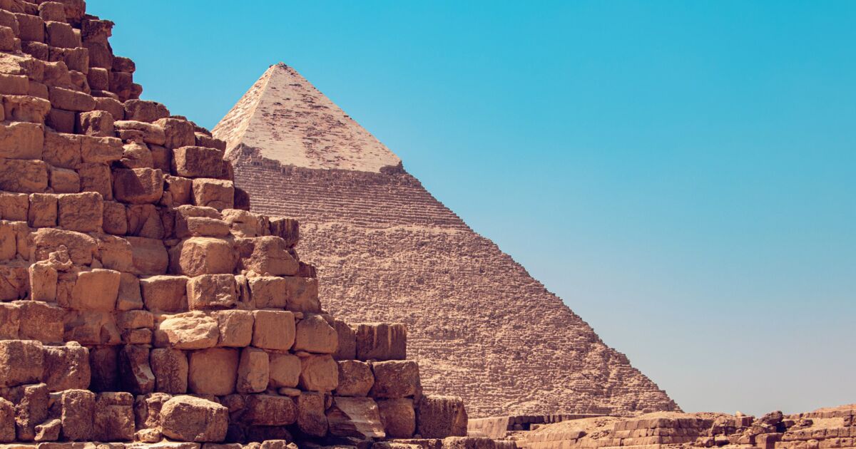 Plus de 2 000 têtes de boeufs momifiées découvertes en Égypte
