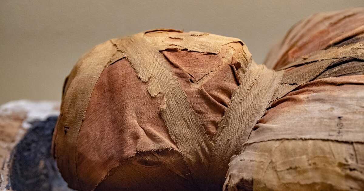 Nouvelle découverte sur la momie de la "Dame mystérieuse"... Après des siècles de secret