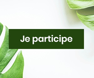  Les Testeuses - JC Box Green