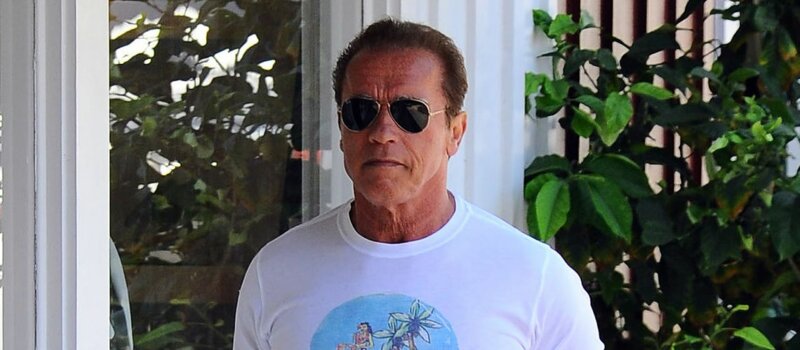Comment Arnold Schwarzenegger a-t-il apporté son soutien à la France?
