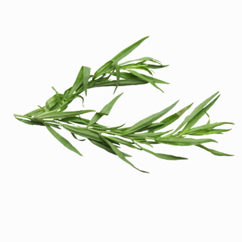 Quelle est cette herbe aromatique ?