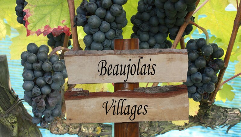 Connaissez-vous bien le Beaujolais ?