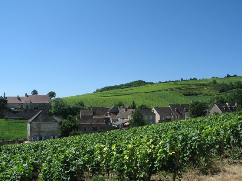 Vins de Bourgogne : au top ou besoin d'une mise à niveau ?