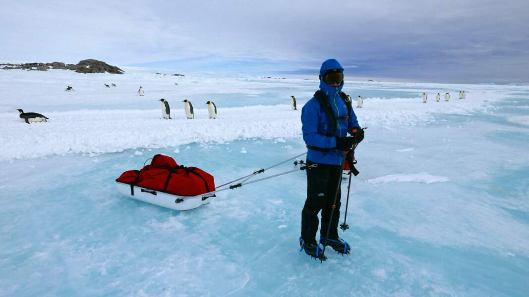 L'équipe traîne son matériel sur la glace à l'aide d'une pulka
