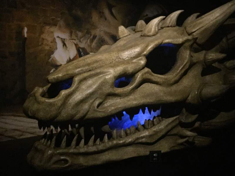 Un crâne de dragon 
