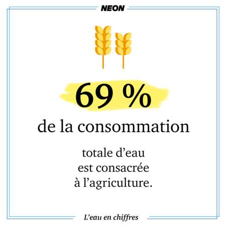69% de la consommation totale d’eau est consacrée à l’agriculture.