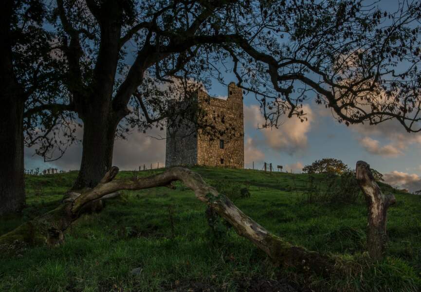 Castle Ward en Irlande du Nord