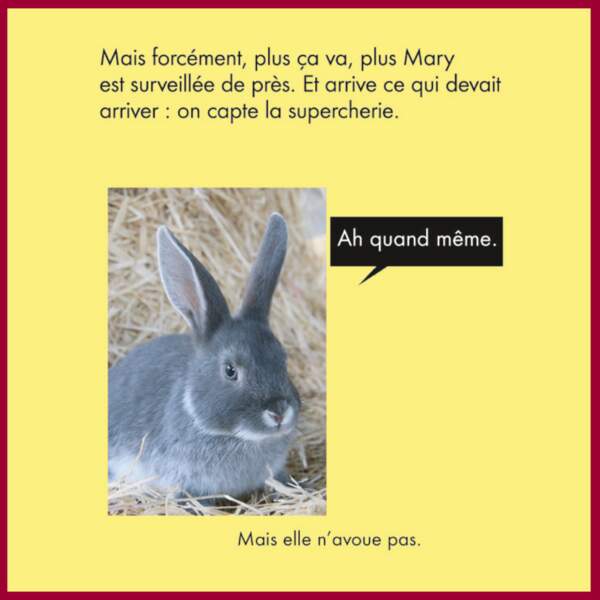 L Histoire Fait Grr Les Lapins De Mary Neonmag Fr