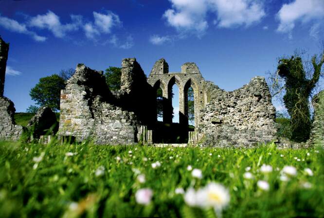 Inch Abbey en Irlande du Nord