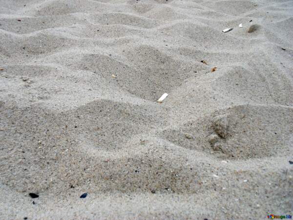 Ils représentent 30 à 40 % des déchets nettoyés sur la plage