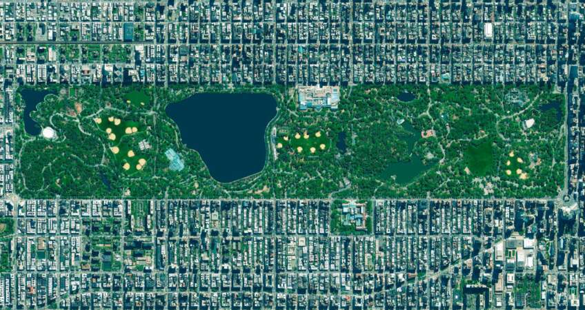 New York, Etats-Unis : une icône au cœur de la cité 