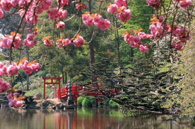 Cholet vs Kyoto : jardin zen