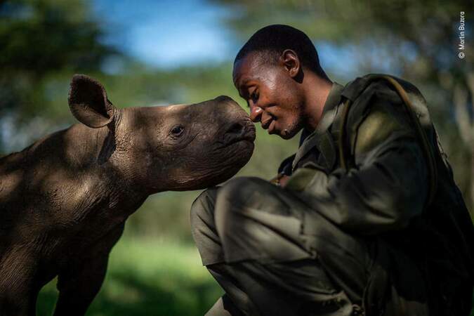 L'amitié du rhinocéros et de l'homme