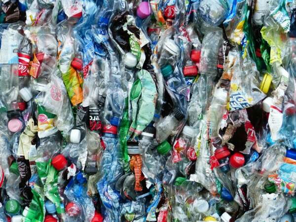 Horizon 2025, planète : créer du plastique biodégradable