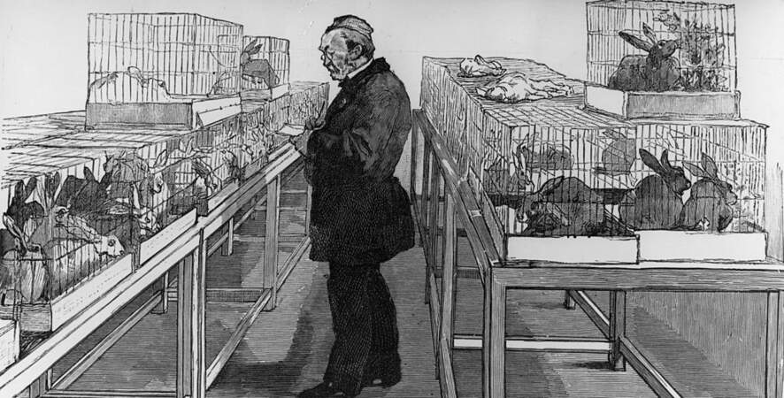 1885: Pasteur découvre le vaccin contre la rage