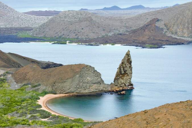Découverte de trente espèces d’invertébrés aux Galapagos
