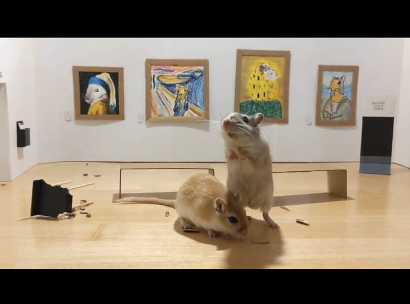 Un couple a créé un mini musée pour ses hamsters 