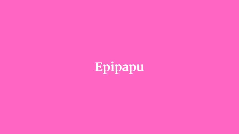 Epipapu
