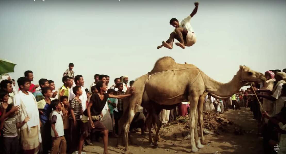 Le saut de chameaux