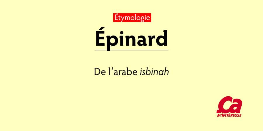 Épinard, de l’arabe isbinah, "épinard"

