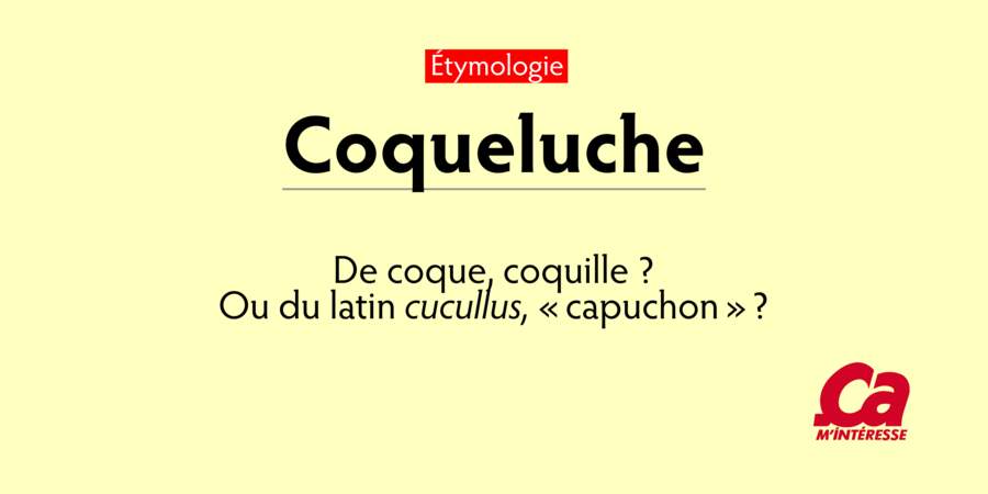 Coqueluche, de coque, coquille? ou du latin cucullus, capuchon?