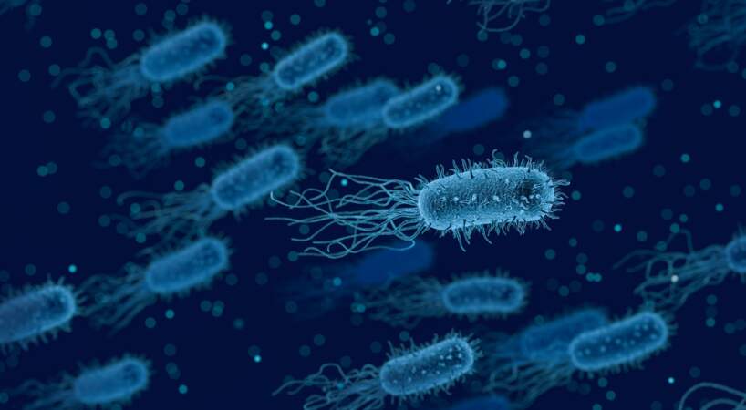 2016 Des bactéries dans le microbiome