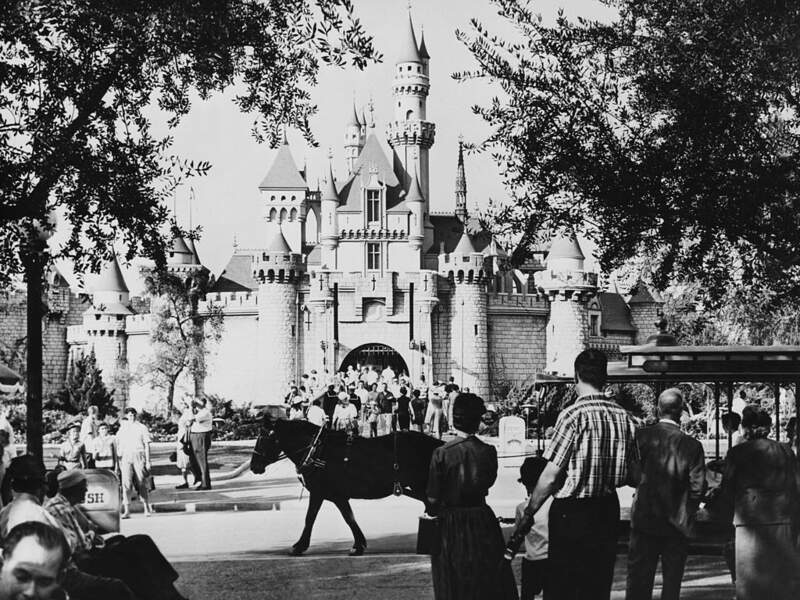 10/ Il a une planque à Disneyland