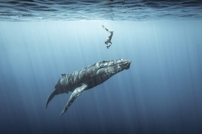 Troisième prix, catégorie "Ocean Adventure Photographer of the Year "