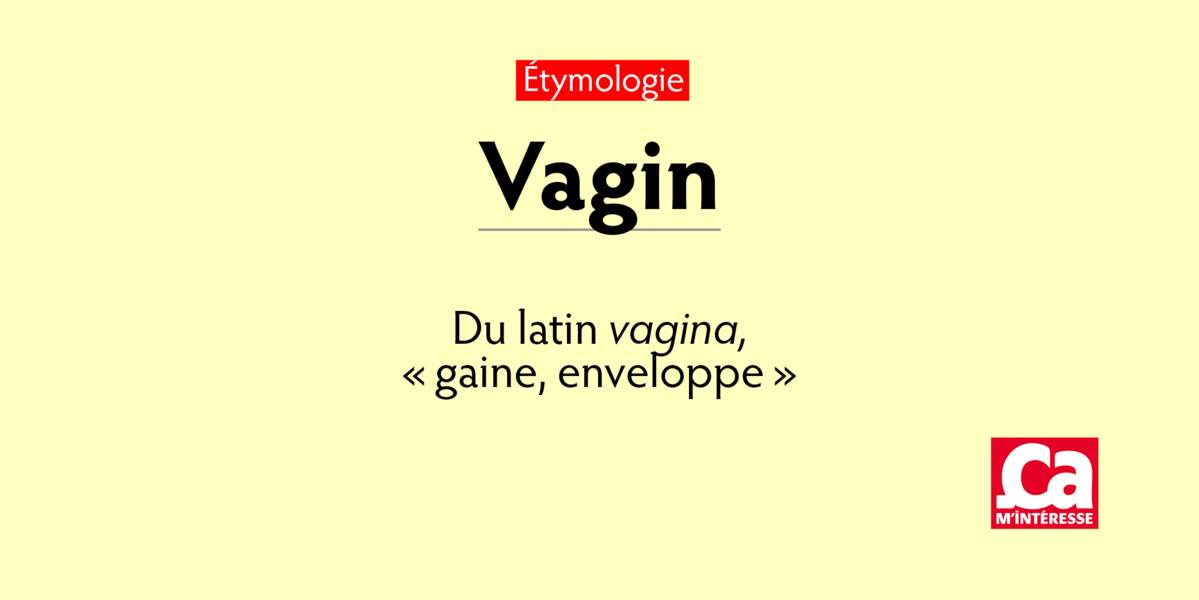 Vagin, du latin vagina
