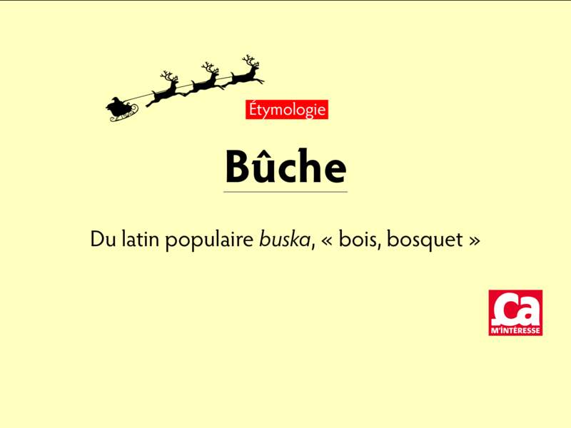 Bûche, du latin populaire buska, “bois, bosquet”