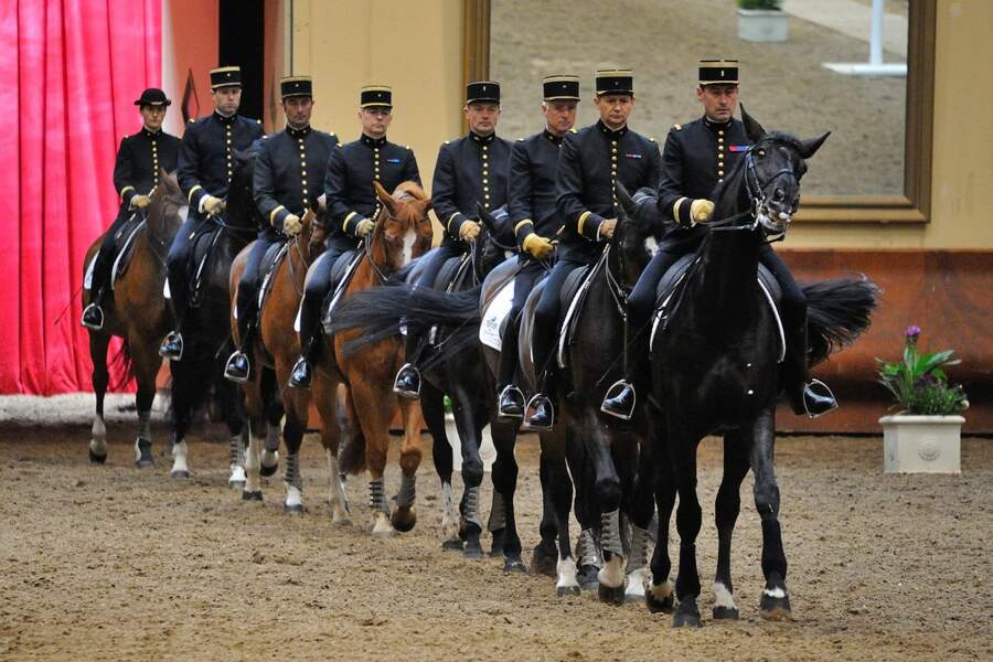 L’équitation de tradition française 