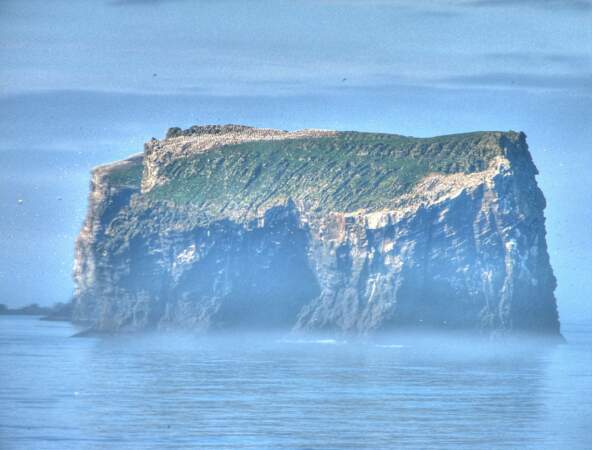 Surtsey, un îlot de nature préservée