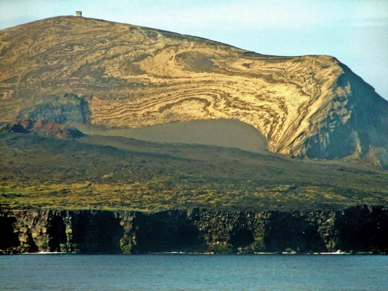 Islande : Surtsey, un écosystème sorti de l'eau