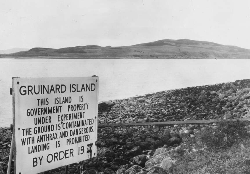 Une île écossaise surnommée "Anthrax Island"