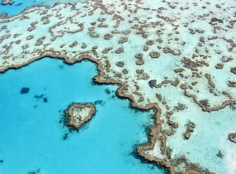 Heart Reef, en Australie