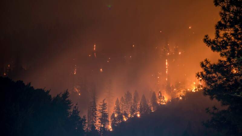 Le meilleur : une IA pour détecter les feux de forêt