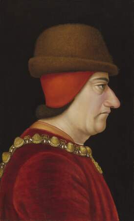 9/ 1461 : pourquoi Louis XI est-il surnommé "l'Universelle Aragne" ?
