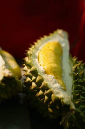 Question 1 : Le durian, un fruit très apprécié en Thaïlande, est interdit de transport, à cause de :