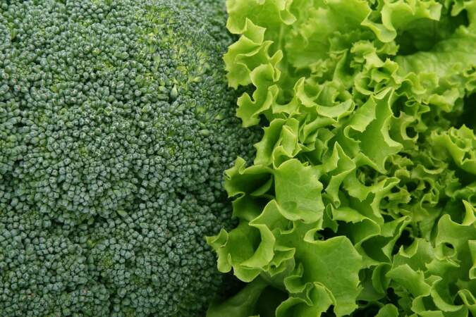 Les bienfaits de la salade verte