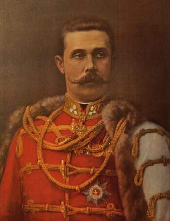 1914 : assassinat de l'archiduc François-Ferdinand d'Autriche par Gavrilo Princip 1/2