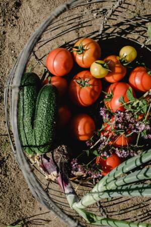 Les légumes, les fruits et les légumineuses