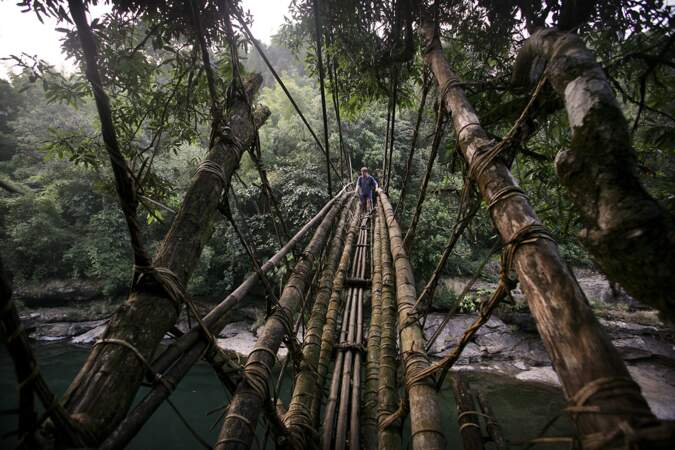 Inde : pont en bambou de l’État du Meghalaya 1/2