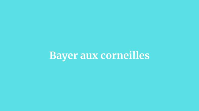 Bayer aux corneilles