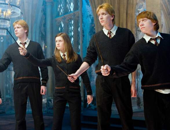 Harry Potter : que sont-ils devenus ? 