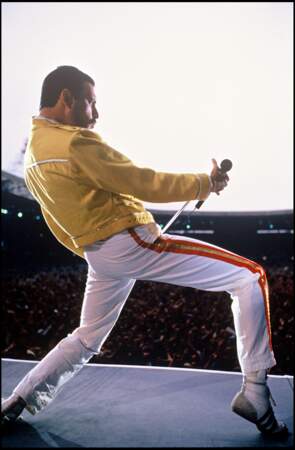 Deux ans après leur mariage, Freddie Mercury "n'est plus le même" selon Marie Austin. 