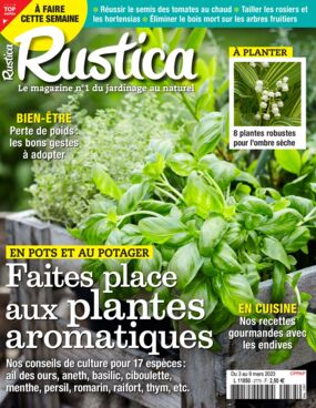 Rustica
