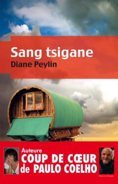 Ebook Sang tsigane